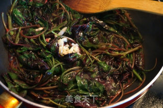 蒜茸红苋菜的做法步骤：7