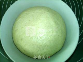 全麦乳酪欧包的做法步骤：6