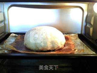全麦乳酪欧包的做法步骤：15