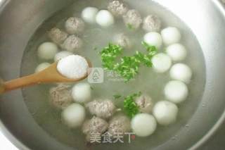 肉丸冬瓜粉丝汤的做法步骤：12