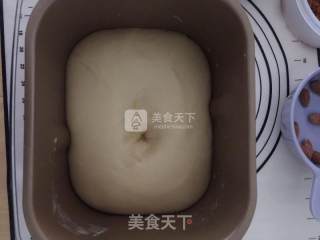 猫猫肉松挤挤包的做法步骤：4