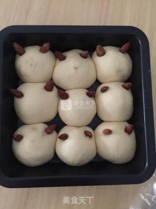 猫猫肉松挤挤包的做法步骤：8