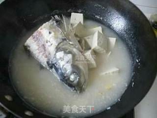 鱼头炖豆腐的做法步骤：6