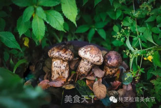 松茸沙拉-这是一盘最有品的沙拉的做法步骤：1