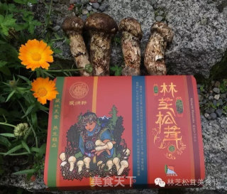 最正宗的墨脱石锅 松茸炖鸡的做法步骤：21