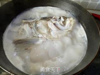 鱼头豆腐的做法步骤：5