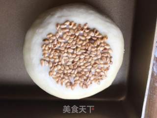 小麦胚芽面包的做法步骤：11