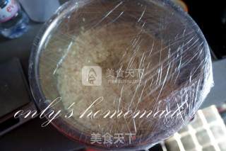 酒酿的做法步骤：6