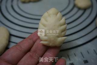 藜麦胚芽面包的做法步骤：15