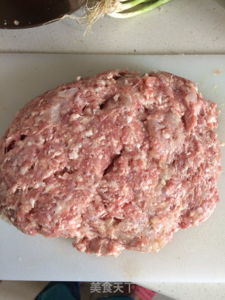 鳜鱼鲜肉小馄饨--熊孩子的早餐的做法步骤：11