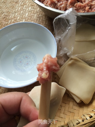 鳜鱼鲜肉小馄饨--熊孩子的早餐的做法步骤：17