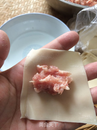 鳜鱼鲜肉小馄饨--熊孩子的早餐的做法步骤：18