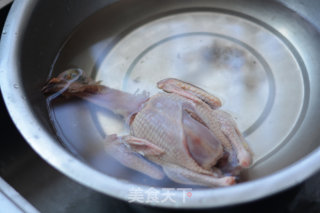 松茸鸽子汤的做法步骤：2