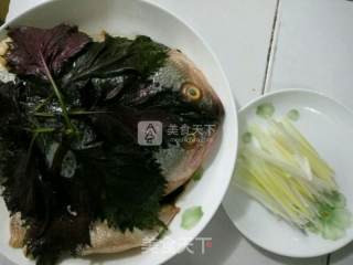 清蒸鲈鱼的做法步骤：3
