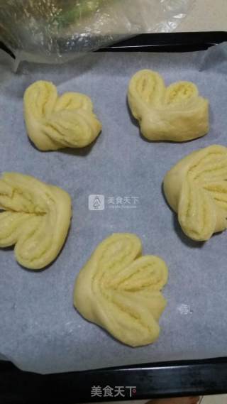 汤种椰蓉面包的做法步骤：15