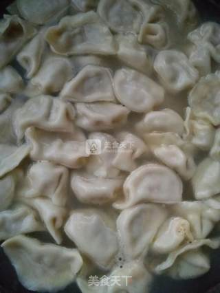 大白菜水饺的做法步骤：6