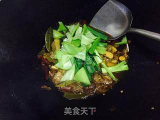 啤酒鸭的做法步骤：6