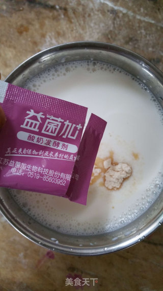 DIY酸奶的做法步骤：2