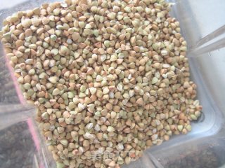 韭菜荞麦饼的做法步骤：1