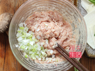 鲜肉鲜虾馄饨 云吞的做法步骤：5