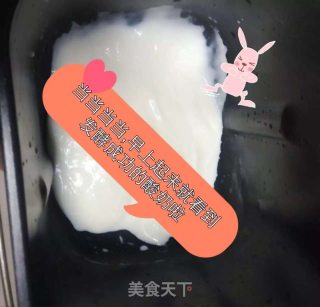 酸奶的制作的做法步骤：5