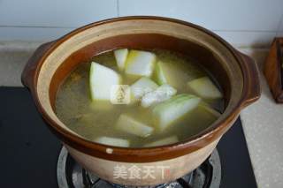 薏米冬瓜炖老鸭的做法步骤：6