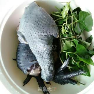治失眠的夜交滕乌鸡汤的做法步骤：1