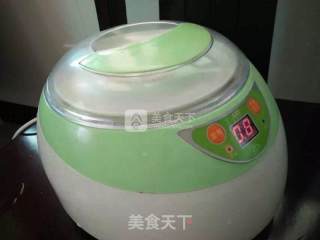 简单自制酸奶的做法步骤：3