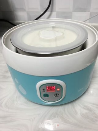 入口即化的酸奶的做法步骤：4