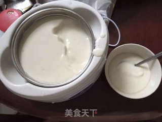 牛奶般丝滑的酸奶的做法步骤：5
