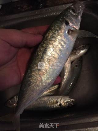 潮汕鱼饭--熟鱼的做法步骤：1