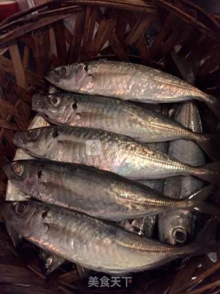 潮汕鱼饭--熟鱼的做法步骤：2