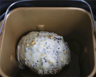 健康养生黑芝麻核桃吐司的做法步骤：4