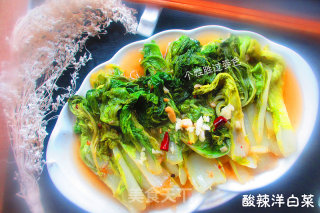 酸辣洋白菜的做法步骤：6