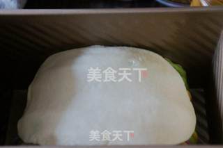 彩虹土司的做法步骤：10