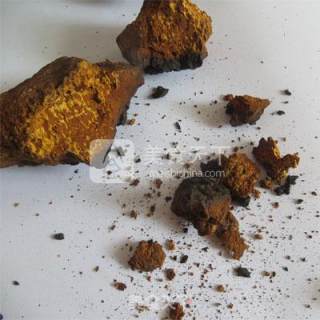 桦褐孔菌灵芝泡水的做法步骤：2