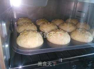 【学生族早餐】牛奶燕麦小餐包的做法步骤：8