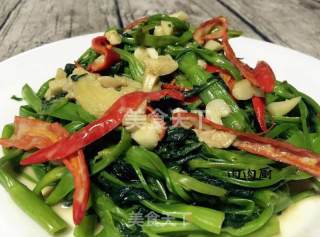 广州家常小菜腐乳炒通心菜#肉肉厨的做法步骤：11