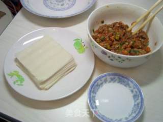 胡萝卜鲜肉小馄饨的做法步骤：4