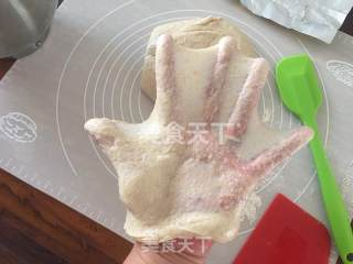 亚麻籽软欧包的做法步骤：3