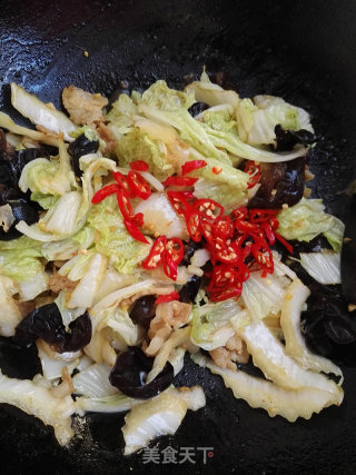 五花肉炒白菜的做法步骤：8