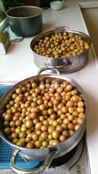 黄皮蜜的制作的做法步骤：2