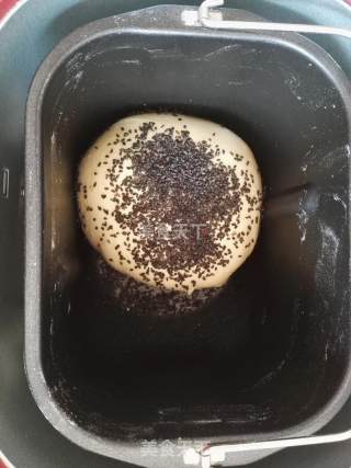 黑芝麻奶酪餐包的做法步骤：7