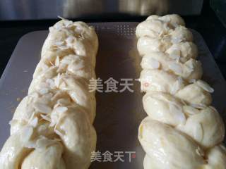 超柔软淡奶油椰蓉辫子包的做法步骤：4