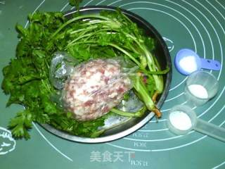 香菜鲜肉包的做法步骤：4
