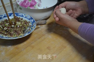 牛肉酸汤水饺的做法步骤：15