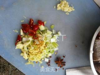 家常酱炖鱼的做法步骤：3