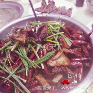 姜辣蛇的做法步骤：8
