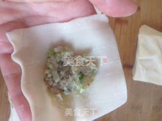 清新爽口小馄饨一一猪肉香葱馅的做法步骤：4