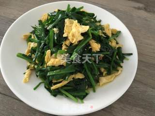 韭菜鸡蛋的做法步骤：6